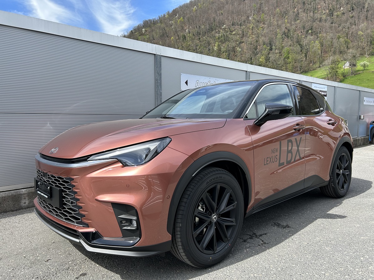 IMG 6811